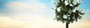 money-tree