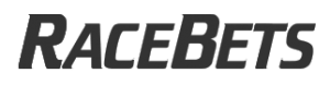 racebets logo grau