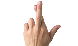shutterstock 102233251