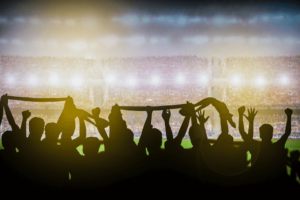 Bundesliga Fans Teaser