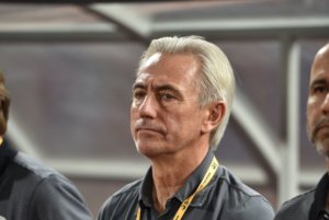 Bert van Marwijk