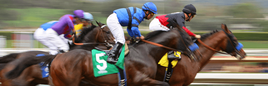 Racebets Com Pferderennen Racebets Com Pferderennen