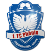 Team 1 Logo